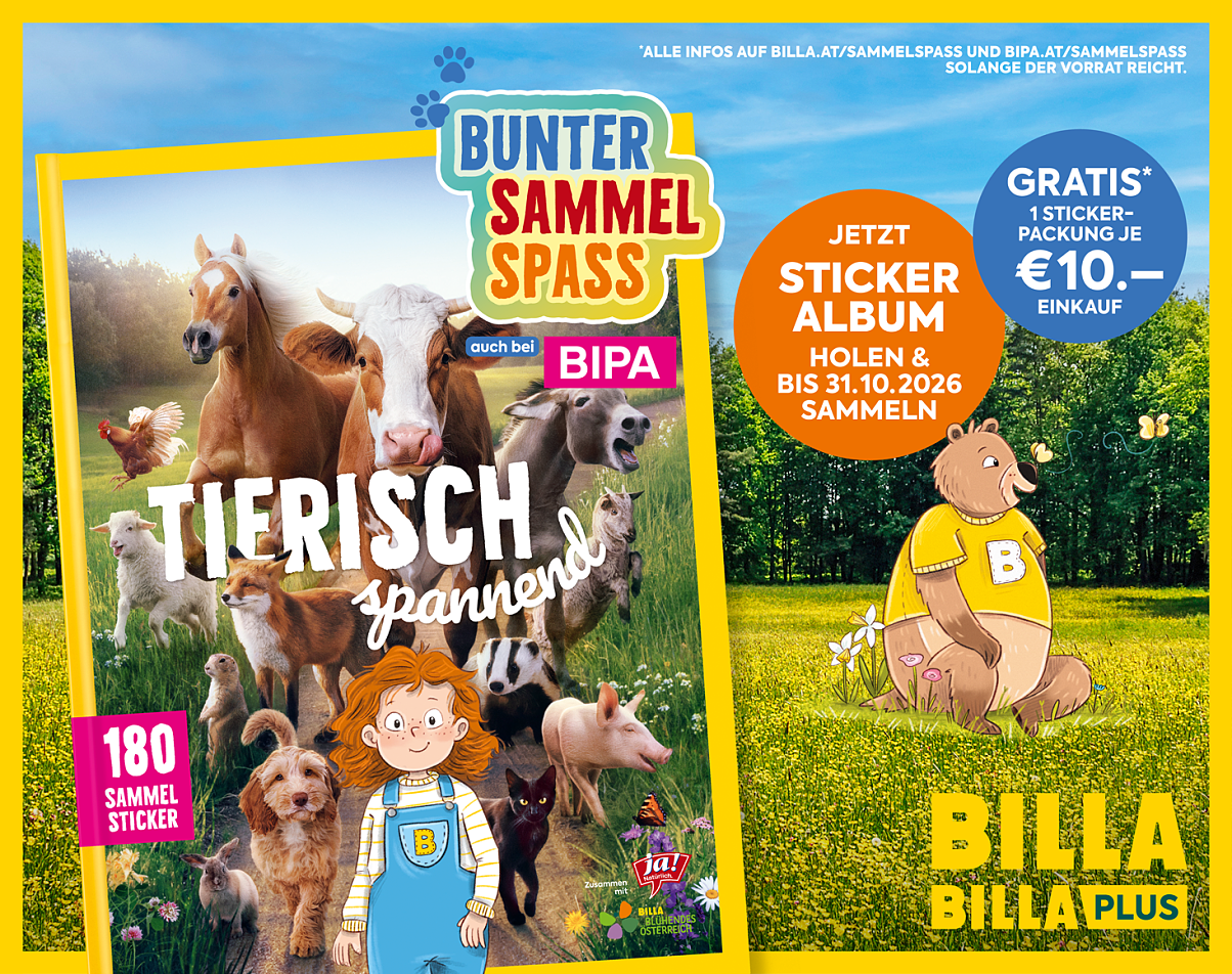 Bild 02