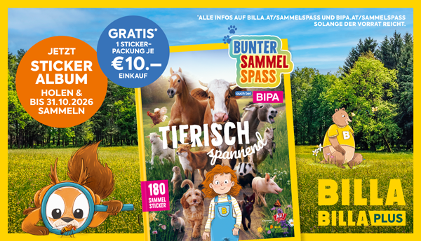 Bild 03