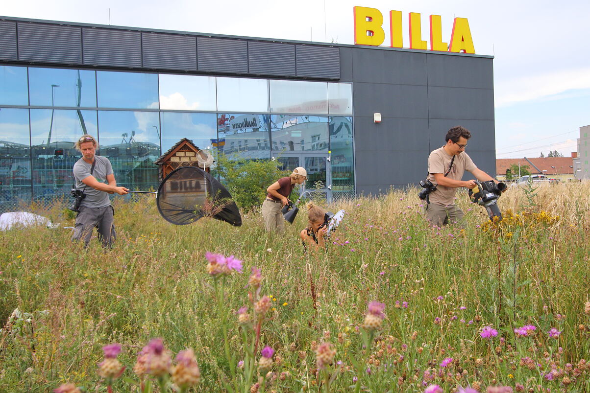 Bild 03