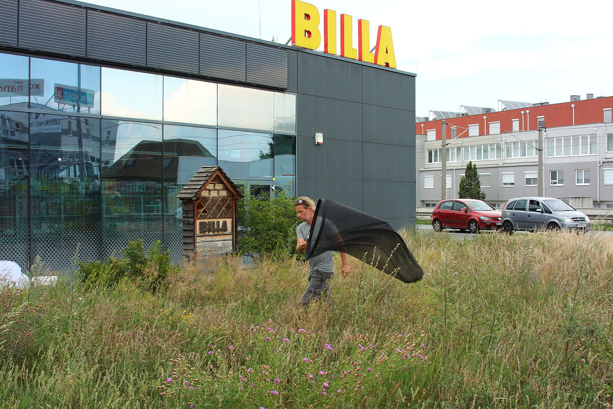 Bild 05