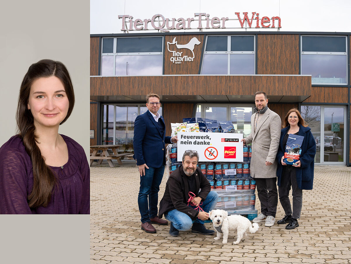 Bild3-PENNY-PURINA-Feuerwerk-nein-danke-c-Paul-Breuss